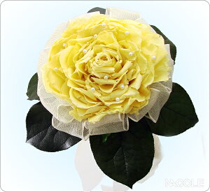 uC_u[P j  vU[uht[o A)u[P u[gjAt j j oYj Vzj o Mtg Ԃ VtFA 39Vbv