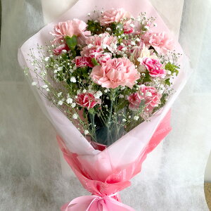 iRIWiJ[l[VMtg ԑ MD-2020A ~bNX  sN JX~)t[Mtg ԑ v[g LO 蕨 ԂMtg 39Vbv܂ N[|zz