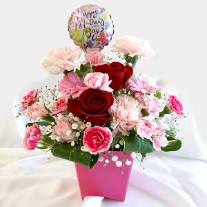 o[t iR IWiԃAWg J[l[V K[x o av[g j LO 蕨 Mtg t[Mtg 39Vbv܂ N[|zz