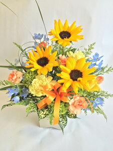 iR IWiԃAWg Ђ܂ J[l[V j j oYj Vzj o Mtg Ԃ t[Mtg 39Vbv܂ N[|zz