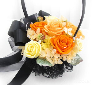  j uC_u[P vU[uht[ u[P  u[gjAP8 j j oYj Vzj o Mtg Ԃ VtFA 39Vbv܂ 