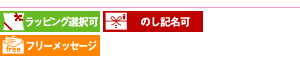 10個セットK3爽やか敷パット(まとめ買い賞品イベントパーティー記念品景品2次会粗品プレゼントノベルティ)(内祝い結婚内祝い出産内祝い新築祝い就職祝い結婚祝い引き出物香典返しお中元ギフト御中元お返し)(お買い物マラソンセール)