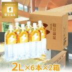 観音温泉水 ペットボトル 2L × 6本入り × 2箱=計12本 ミネラルウォーター 2リットル 飲む温泉水 飲泉 天然シリカ水 超軟水 備蓄用 強アルカリ天然水 国内天然水 高級 日本製 シリカウォーター ウイルス対策 備蓄用 ストック クーポン配布中