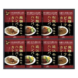 【まとめ買い10セット】飛騨高山ファクトリー 松阪牛・近江牛・飛騨牛仕込みハンバーグ＆カレー詰合せ 食品 内祝い 結婚内祝い 出産内祝い 景品 結婚祝い 引き出物 香典返し ギフト お返し