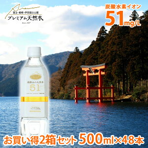 2Zbg R̓VR51 500ml × 48{ ~lEH[^[ ybg{g v~AVR މ ̓VR Y_fCI ~p މ p VR 
