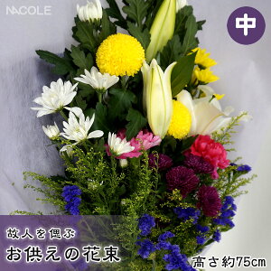 ̐lÂԂ̉ԑ   zCg p[v t[   @v @v    MTCY 䋟 @   ފ ~  dp    