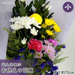 ̐lÂԂ̉ԑ   zCg p[v t[  @v @v    STCY 䋟 @   ފ ~  dp    Ւdp 