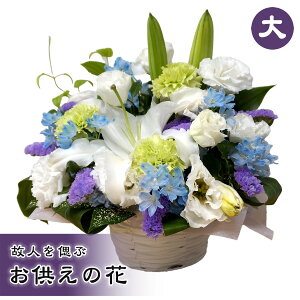  Ԋt ̐lÂԂ̉   zCg p[v t[   gRLLE J[l[V u[X^[ X^[`X O[   LTCY  