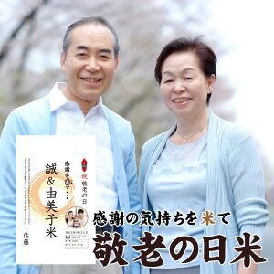 hV̓ Mtg hV̓ 3kg Mtg    Mtg TvCYMtg TL[Mtg v[g ꂿ  k ΂ c c  