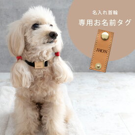 ナコル 名入れ首輪 専用 お名前タグ 首輪は付属しておりません 【ネコポス配送可】 dkwtg