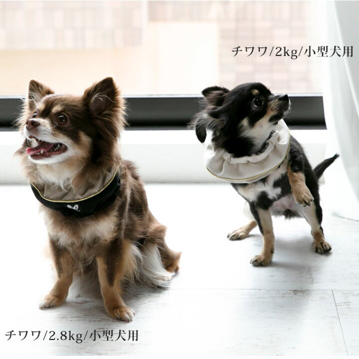 楽天市場 送料無料 犬 夏 首 保冷 ネッククーラー 保冷剤4個付き ひんやり クール 小型犬 中型犬 大型犬 おしゃれ かわいい シンプル クールネック クールバンド 日本製 ナコル M便 1 2 Dnc Nacole Dog ナコルドッグ