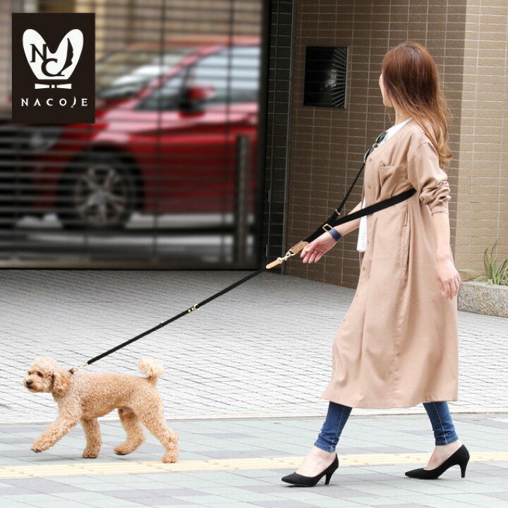 楽天市場 お名前無料刺繍 ショルダーリード 首輪 セット 犬 犬用 小型犬 中型犬 お出かけ 散歩 ハンズフリー 名入れ 刺繍 犬の首輪 おしゃれ かわいい シンプル ファッションリード プレゼント ギフト ネコポス配送ok 日本製 ナコル M便 1 3 Drsk Nacole
