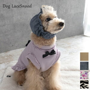 { ybgp Xk[h h~ Jo[ HXk[h TCY߉\ t[TCY H U 킢     dsnf