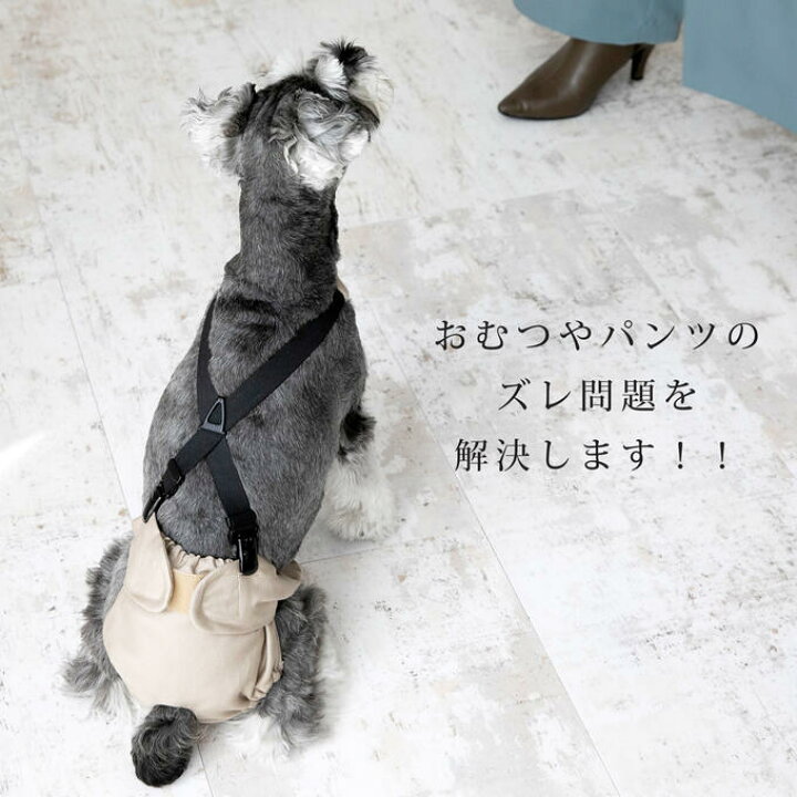 楽天市場 犬 オムツ サスペンダー 胸当て付き 3点留め ずれにくい 犬用サスペンダー おむつ 介護 マナーパンツ サニタリーパンツ おむつカバー 小型 犬 中型犬 ドッグウェア ペットウェア スカート おしゃれ お出かけ ネコポス配送ok 日本製 ナコル Dsp Nacole 楽天市場 犬 オムツ サスペンダー 胸当て付き 3点留め ずれにくい 犬用サスペンダー おむつ 介護 マナーパンツ サニタリーパンツ おむつカバー 小型 犬 中型犬 ドッグウェア ペットウェア スカート おしゃれ お出かけ ネコポス配送ok 日本製 ナコル Dsp Nacole