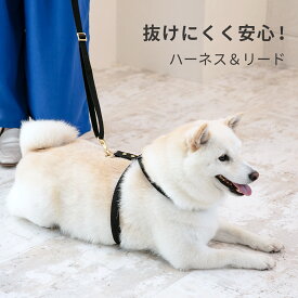 すっぽ抜けない ハーネス 日本製 犬 犬用 8の字 リード セット 抜けにくい 着脱簡単 犬具 胴輪 小型犬 中型犬 お散歩 装着簡単 ファッションリード ハーネスリード シンプル 上品 抜け防止 かわいい おしゃれ ペット ペットグッズ 犬用品 nacole ナコル hhn