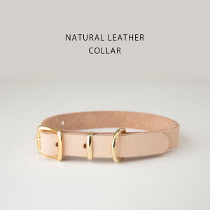 yOz   p U[ {v kv @kJ[ ^ ^  ̎ y{z iR kwl