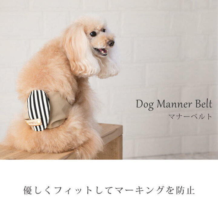 楽天市場 名入れ無料 犬 マナーベルト マナーウェア マナーバンド 小型犬 中型犬 トイレ用品 ドッグウェア マーキング防止 介護用品 名入れ おしゃれ シンプル お出かけ ネコポス配送ok 日本製 ナコル M便 1 5 Mnb Nacole Dog ナコルドッグ