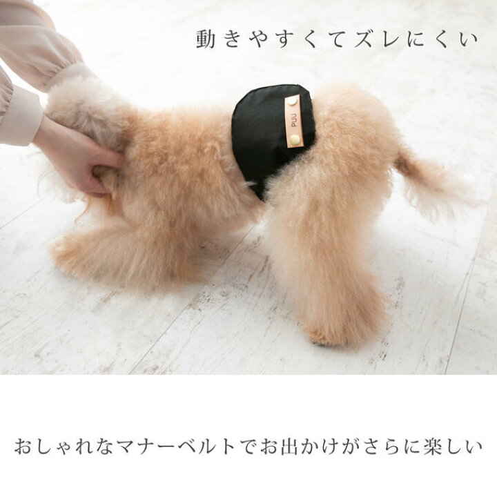 楽天市場】名入れ無料 犬 マナーベルト マナーウェア マナーバンド 