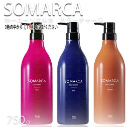 【種類が選べる】ホーユー ソマルカ カラーチャージ 750g ■