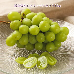 Y VC}XJbg y9{-10{ 12-3[  1kg z Ȃ 炲ƐHׂ }XJbg Ԃǂ uhE  H t[c  y͂wsEsE