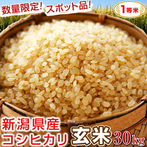 ���� 30kg 1���� �I�ׂ�y�V�����Y�R�V�q�J���z�y�H�c���Y���������܂��z �ߘa7�N�Y ���������i����z���s�j �V���Y �����Ђ��� �H�c�Y �A�L�^�R�}�` 30�L�� �ꓙ�� ���ʌ��� �X�|�b�g�i