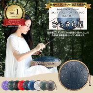 【マラソン10%オフ】【楽天ランキング1位】【一緒に弾ける動画あり】スリットドラム【ジブリ楽譜付き】13…