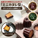 カヌレ沼 ミニ カヌレ型 カヌレ 型 スルッと取れるシリコン塗工 【楽天ランキング1位達成】炭素鋼製 外寸26×20cm 内…