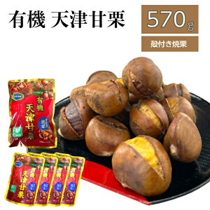 _ő10ItN[|I^ kt ĂI 570g Zbg 250g×1 { 80g×4 [OXgbN L@ VÊÌI ÌI ČI ÌI t e q  JAS}[N َq I N X