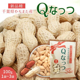 ＼本日3％オフ／ 令和7年度産 千葉県産 落花生 Qなっつ 国産 新品種 おつまみ ピーナッツ 殻付き 素焼き 無添加 無着色 無塩 千葉県八街産 やちまた市 八街市 「食品」