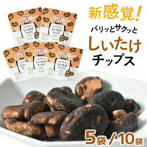 _g3ItN[|^  `bvX 18g 5 10 oL[tC@  ؃`bvX  XibN ċx  ܂ ~jTCY y h ~ H z 