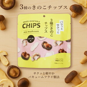 \30%オフ!24日20:00~27日9:59まで/ 3種の きのこ チップス うすしお味 1袋 17g 30袋 / 10袋 バキュームフライ 夏休み おやつ 野菜チップス 小分け エリンギ マッシュルーム しいたけ スナック お