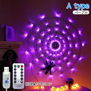 nEB w偂̑Cg nEBCg LEDCg 70LED dr/USB ~  N̑ halloween decorations ͋C_  ƒp ~ i  nEB p[