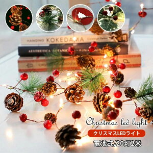 NX}X Cg 2m 20 LEDC~l[VCg ڂ   Ԃ fR[V dr NX}Xc[胉Cg nEB p[eB[  a   L