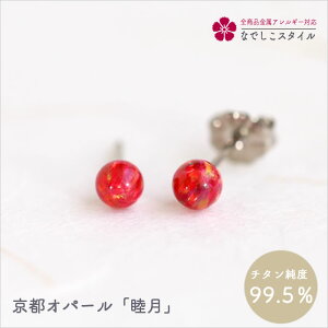 sIp[^r `^@AM[ΉsAX fB[Xt@bV ANZT[ op v[g Mtg@a@LO@ZIp[@߁@asAX@