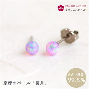 sIp[^ `^@AM[ΉsAX fB[Xt@bV ANZT[ op v[g Mtg@a@LO@ZIp[@asAX@߁@