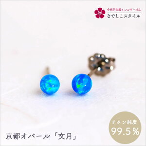 sIp[^ `^@AM[Ή fB[Xt@bV ANZT[ op v[g Mtg@a@LO@ZIp[@Ղ@߁@l@a