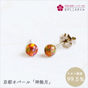 sIp[^_ `^@AM[ΉsAX fB[Xt@bV ANZT[ op v[g Mtg@a@LOZIp[@asAX@߁@