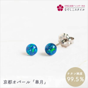 sIp[^H `^@AM[ΉsAX fB[Xt@bV ANZT[ op v[g Mtg@a@LO@҂゠`^@asAX@ZIp