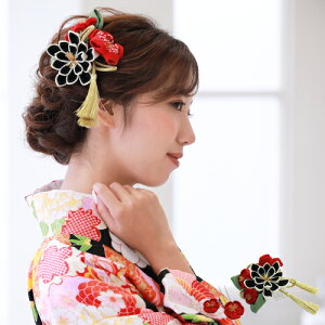 ^bZt ߂܂݉Ԕ3_Zbg Ǝ  l  U R[ Us RT[W wAANZT[  a g uC_   