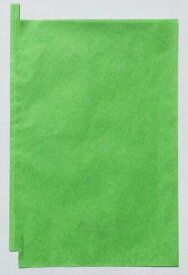 500枚 シャイン用 21号 果実袋 ぶどう 緑 24.8×36cm （パッケージ無し） − 一色本店_s