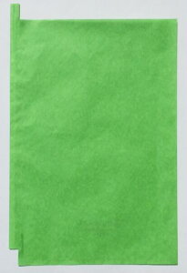 [500-3,000] VCp 21 ʎ Ԃǂ  24.8×36cm ipbP[Wj | F{X_s