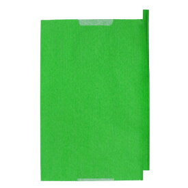 [即納][500-3,000枚] シャイン用 20号 果実袋 ぶどう 緑 21.7×31.5cm （パッケージ無し） − 一色本店_s