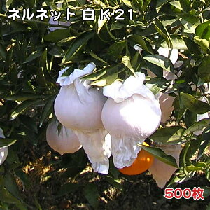 ([)  500 llbgij K-21 ӊp ʎ XgbLO^Cv| | F{X