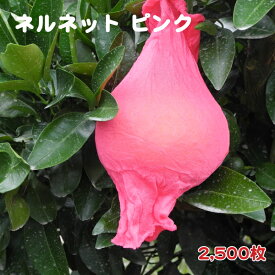 [即納] ネルネットピンク（中） ストッキングタイプ果実掛袋 [500枚-2,500枚] 中晩柑用 果実袋 K-221 − 一色本店