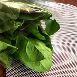 5���Z�b�g�@�t����؂̑܋l�ߕ⏕�� ��؂����� white 37×30cm �| ��F�{�X