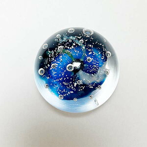 NM g̃KX y[p[EFCg A6 | CكKXH[