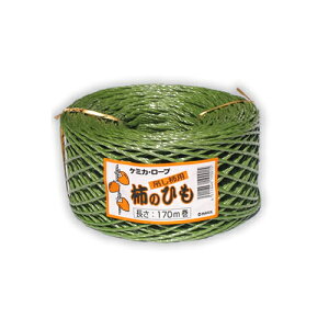 P~JE[v ݂`p `̂Ђ 170M/ | H