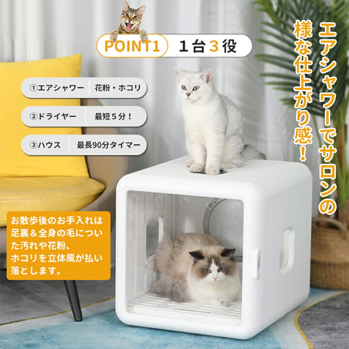 41UoYxNVtCL._BO30,255,255,  