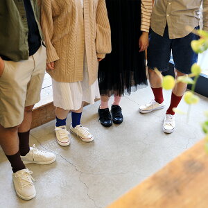 新感覚!ムレない!紙の靴下「紙衣(かみこ)リブ紳士用」安心の日本製【靴下/メンズ/和紙/新感覚/ひんやり/消臭/抗菌/スニーカー/和風/ソックス/保温/国産/敬老の日/プレゼント/トモエ繊維】【RCP】