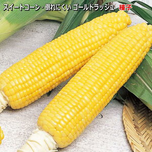 �w �|��ɂ��� �S�[���h���b�V�� 90 �x �g�E�����R�V ��q 21ml�i��55���j �X�C�[�g�R�[�� �Ƃ����낱��